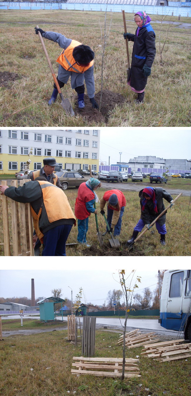 Продолжается посадка деревьев на улицах города Шумерля